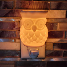 Cargar imagen en el visor de la galería, Ceramic Wall Warmer - White Owl
